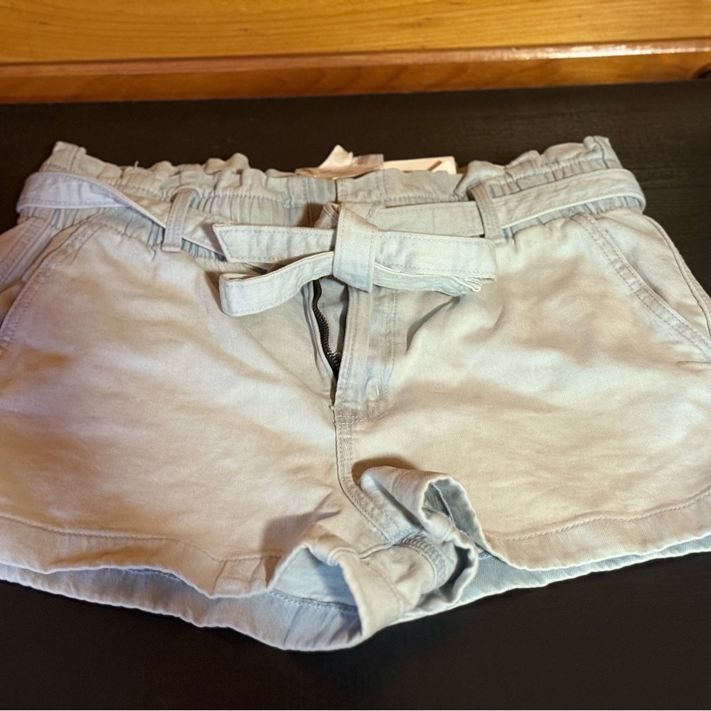 American Eagle Outfitters High Waist Light Blue Shorts